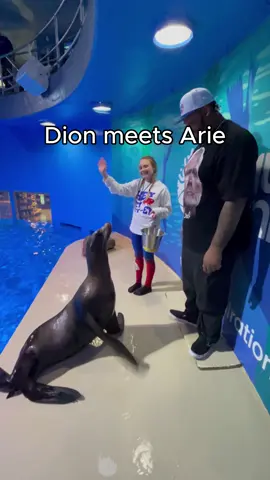 @Aquarium of Niagara 