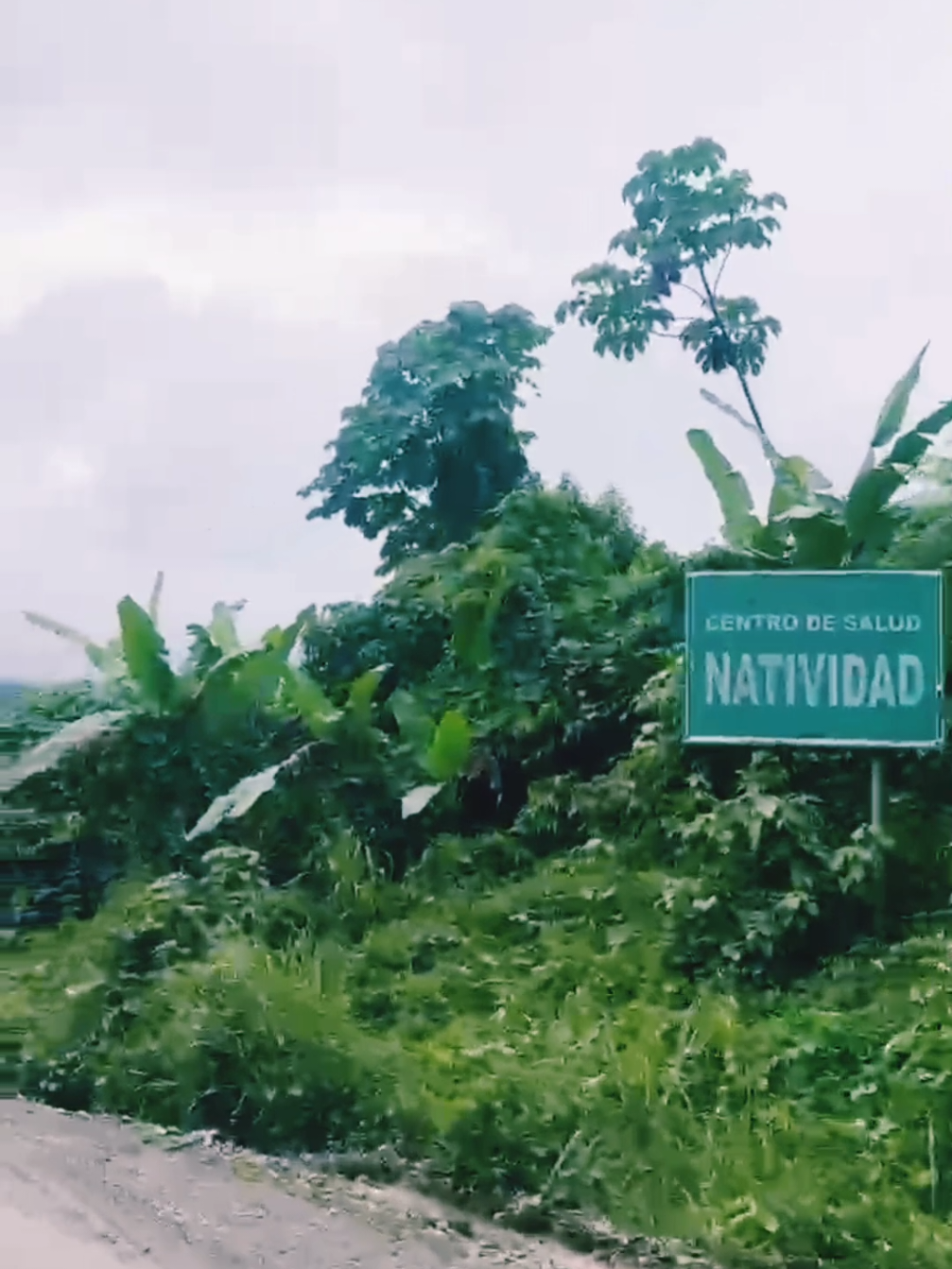 en el distrito de Pichari, dentro del Valle de los Ríos Apurímac, Ene y Mantaro (VRAEM), en la región Cusco – Perú. Es un Distrito ubicada en una zona de selva alta, rodeada de abundante vegetación, ríos y montañas, que reflejan la riqueza natural y cultural del valle. Natividad destaca por su población trabajadora y solidaria, dedicada principalmente a la agricultura, especialmente al cultivo de cacao, café, plátano y yuca, productos característicos de esta región amazónica. La comunidad forma parte del corredor turístico del VRAEM, ofreciendo paisajes naturales, quebradas y rutas hacia zonas de recreación y descanso. Además, sus habitantes mantienen vivas las costumbres andino-amazónicas, combinando tradiciones quechuas y ashaninkas. Durante las festividades locales, se realizan danzas típicas, ferias agropecuarias y eventos deportivos, donde se fortalece la identidad cultural y el espíritu comunitario. En los últimos años, Natividad ha experimentado un crecimiento en infraestructura y conectividad, mejorando el acceso desde la plaza central de Pichari a través de una vía afirmada que permite el tránsito hacia comunidades vecinas.#natividad #natividadvraem #carnavales2026 #rutasdelvraem #vraem💓perú🇵🇪 