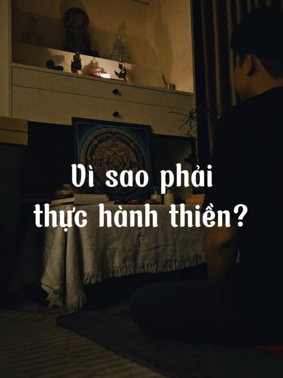 VÌ SAO PHẢI HÀNH THIỀN? #bayvathien #tritue #thien #giaophap #phatphap 