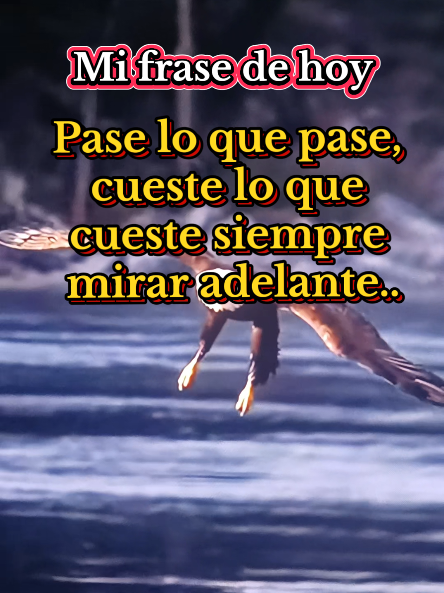 frases motivación mi frase de hoy pase lo que pase siempre adelante #frases #motivacion #siempre #adelante #paratiiiiiiiiiiiiiiiiiiiiiiiiiiiiiii 