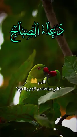 دعاء الصباح اللهم إني أسألك الثبات في الأمر  وأسألك العزيمة على الرشد وأسألك شكر نعمتك وحسن عبادتك  وأسألك قلبا سليما ولسانا صادقا وأسألك من خير ما تعلم وأعوذ بك من شر ما تعلم وأستغفرك لما تعلم، إنك أنت علام الغيوب #صباحكم_أحلى_صباح #صباحكم_معطر_بذكر_الله #صباح_الورد #صباح_الخير #صبحكم_الله_بالايمان_وطاعة_الرحمن 