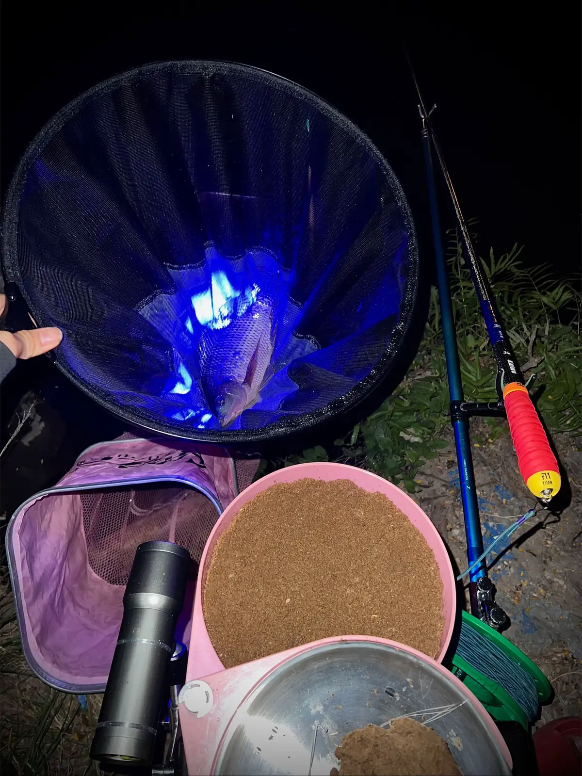 #caucagiaitri #caudaitunhien #thichcauca🎣 #cauca 