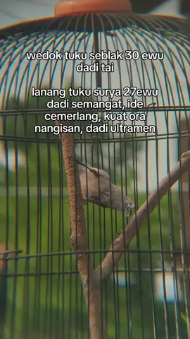 betul po ora bolo?? #fyp #storykicaumania #fypviralシ #aesthetic #CapCut 