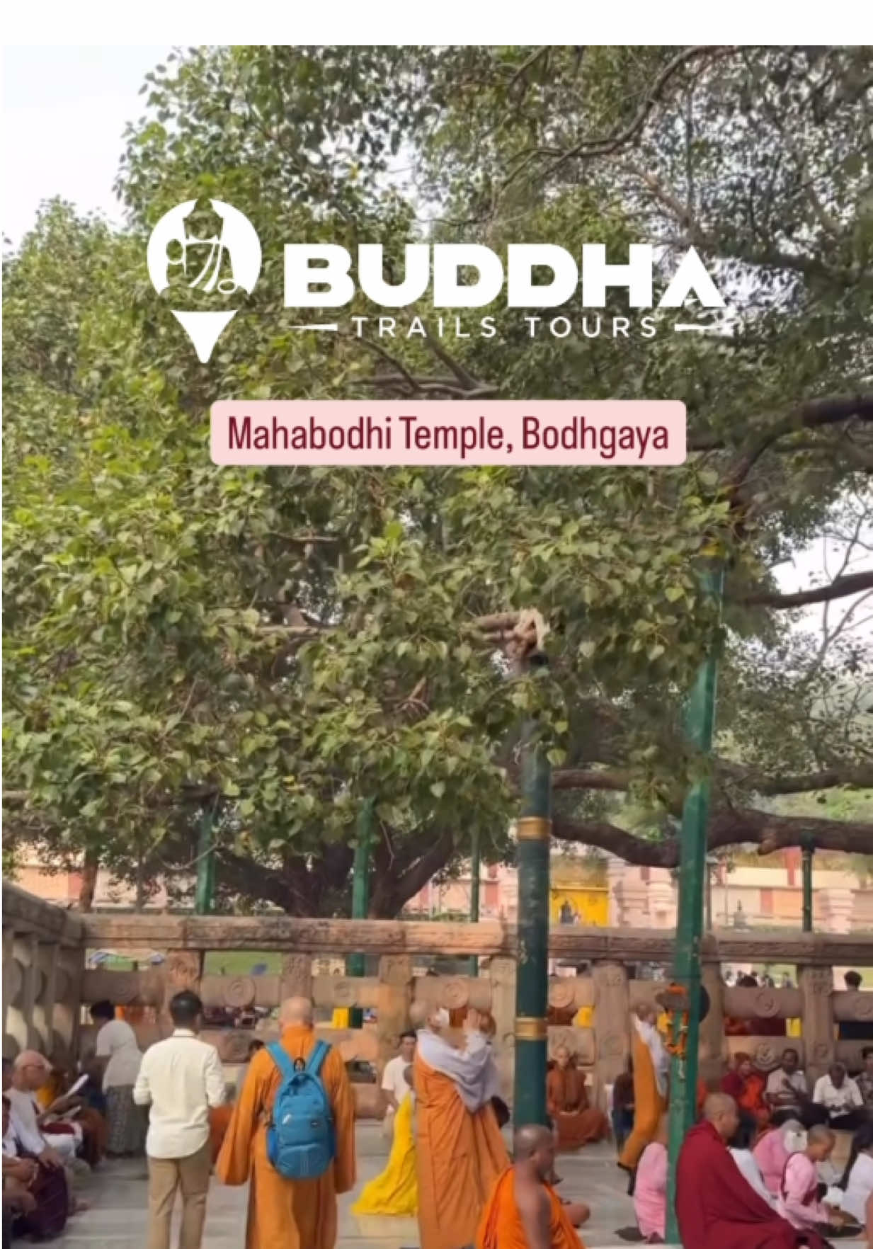 The air here feels different 🍃 Maybe it’s what peace actually feels like.