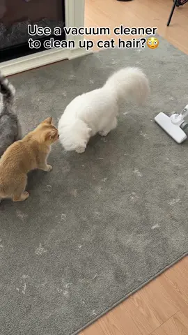 Don't waste time on the vacuum cleaner.#tiktokshop #PetsOfTikTok #catsoftiktok #petproducts #tiktokmademebuyit 