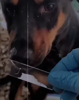 #vys_kiyd🙂 #blacky_page #viralvideo #foryou #foryoupage 