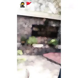 Abbottabad ♥️🥹#viralcideosofficial #commentlikefollow #unfreezemyaccount #foryou #searchingforlove 