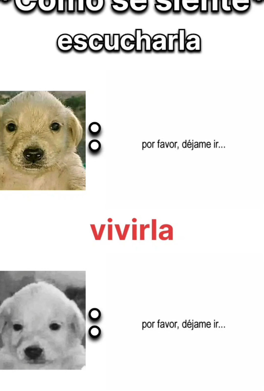 Pero te amo tanto... #creatorsearchinsight #iloveyouso #fyp #escucharlavivirla #lasoledadmeconsume