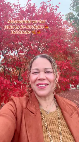 Me encanta ver los colores de las hojas 🍁 del otoño 🍁 #meencantaverloscoloresdelashojasdelotoño#foryourpage #Otoño#fypシ゚ #fallseason🍂 