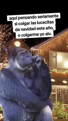 las dos cosas 😜 🤷 😌 😅  #solito #ansiedad #meme #humor #viraltiktok 