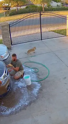 #creatorsearchinsights 