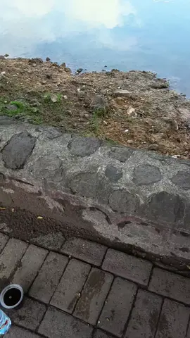 ✨#sarangan #telagasarangan #vibes #fyppppppppppppppppppppppp 