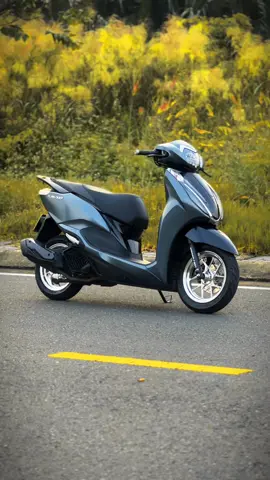 Ninja Lead  #leadabs125 #lead2025 #lead2025 #หลีดดิว่ะ #viral 