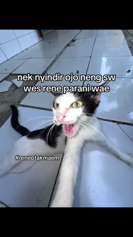 🙌🏻lolologakbahayata🙌🏻#yxzcba #4u 