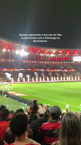 Prfv flamengo 🥹 #foryou 