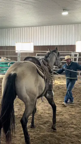 #PaidPartnership #LIVEStory #LIVEIncentiveProgram  Teaching this young horse to find softness and balance in every movement.