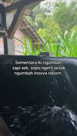 Bismillah sek😁 #fyppppppppppppppppppppppp #masukberanda #fypage #fypシ゚ #peternakmuda 