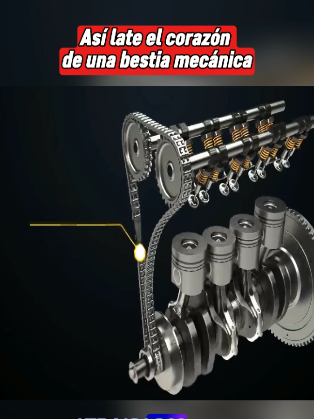 #Science #AprendeEnTikTok #ciencia 