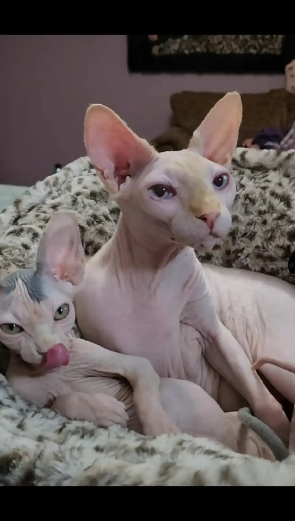 Happy Halloween 2025