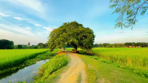 Sesh Kanna with ME |Use headphones for better sound quality I kmon hoiyace Video tahh? #sinamtic #cinematic #cinematic_video #vairal_video #fyp #song #sesh_kanna #foryou #sesh_kanna#sinamtic #cinematic #sinamtic 