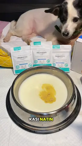 🐶 Healthy gut, happy pup! 🦴 Give your dog the power of Canine Science Probiotics — for better digestion and stronger immunity! 💪 #HealthyPets #ProbioticsForDogs #PawParents 