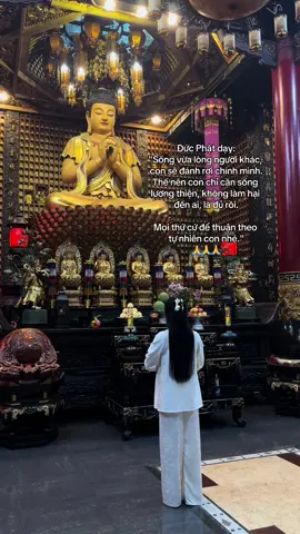 Nam Mô A Di Đà Phật🙏#phapphucdichua #reviewdodichua #dichuamacgi #nammoadidaphat #viral 