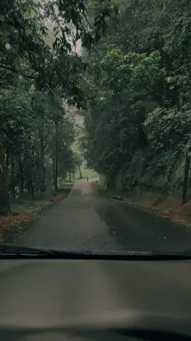 Nikmati saja perjalanan ini #hujan  #fypシ゚  #hutan 