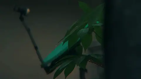 Rainy days remind me to slow down #rainyday #fyp #calm #relax #foryou 