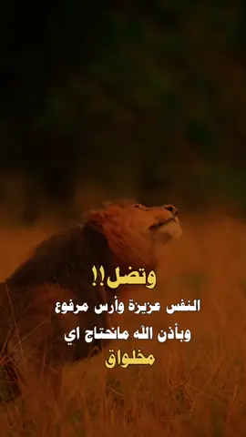 #عبارت_جميله_وقويه😉🖤 #مجرد________ذووووووق🎶🎵💞 #اليمن🇾🇪المملكة🇸🇦_عمان🇴🇲_الاردن🇯🇴ليبيا #اليمن🇾🇪المملكة🇸🇦 