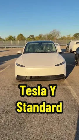 Tesla model Y standard looking sharp #teslamodelystandard #cheap #ev #tesla #modely  