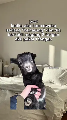 kuat banget tenaga cowo😭 #meme #memekucing #kiyotakiiii #fyp #kucinglucu 