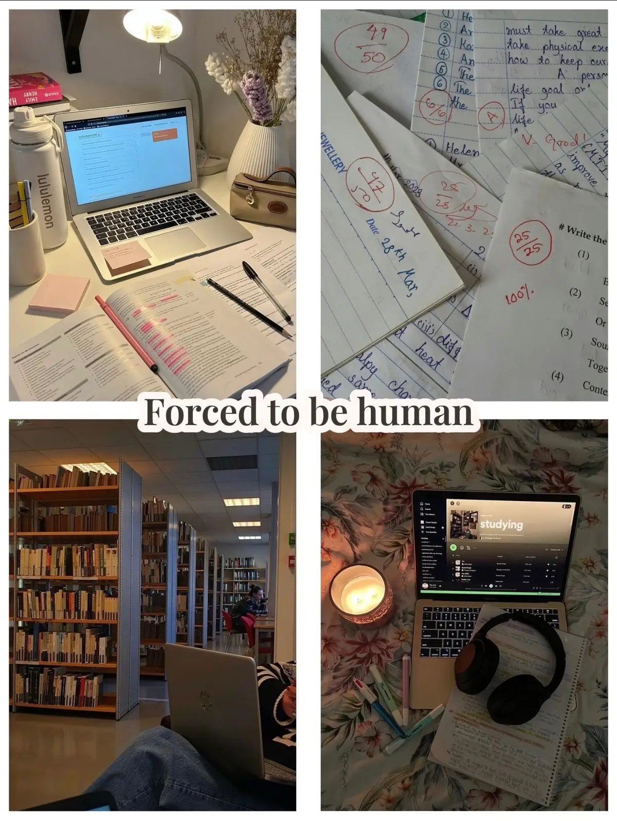 My dream 😇 #AttackOnTitan #snk #shingekinokyojin #foryouuu #fypシ゚ 