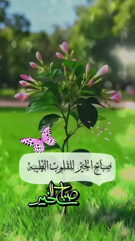 #صباحكم_أحلى_صباح🌹🌹 