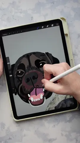 Are you a DIYer who wants to create a portrait of your pet… but you don’t think you could draw them? Well, let me help!  I’ve created custom pet portrait patch kits that will give you everything you need to stitch your furiend.  How it works:  You send me photos of your pet you’d like to stitch. I create a drawing of them (to be approved by you) and then provide you with the pattern, thread, instructions, felt, a needle, and adhesive backing to make it a stick-on patch. When you’re done, you can permanently adhere the patch to any fabric surface.  Custom pet portrait patch kits are now available in the Bear&Bean online shop.