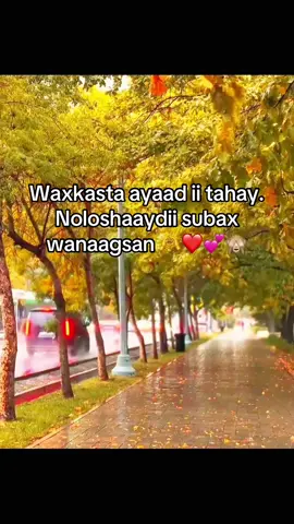 In dhaheey gii 🙈#fyp #viral #somalitiktok #erayojaceyl❤💯 #veiwsproblem @𝒜𝑀𝐼𝑅 😉 