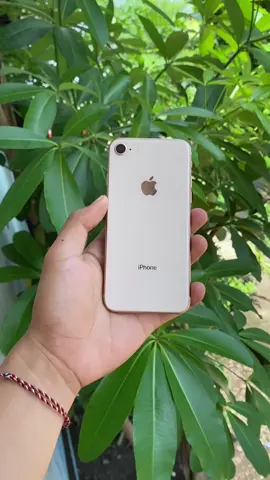 iphone 8 64gb  kondisi like new Bh 100% Sinyal aman all oprator Harga 1jt an sajaa Lokasi mojosari  WA 085855470401 #promomakangajian #fyp #viral #fyp #jualbeliiphonemojosari 