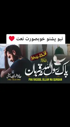 #نعت_رسول_اللہ_صلی_اللہ_علیہ_وسلم @𝐁𝐢𝐥𝐚𝐥 𝐊𝐡𝐚𝐧.920 #bilalkhan920 #foryoupage #foryoupage #naatsharif @حافظ لطف الر رحمن 