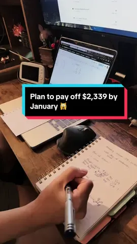 Can I seal the deal? 🦭✨ Why yes- I do make corny jokes like that. 😭 #financialliteracy #financiallearning #moneytok #debtfreejourney #ccdebt 