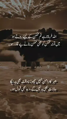 Part 33 | #2linespoetry #urdupoetry #foryoupage #foryou #truelines 