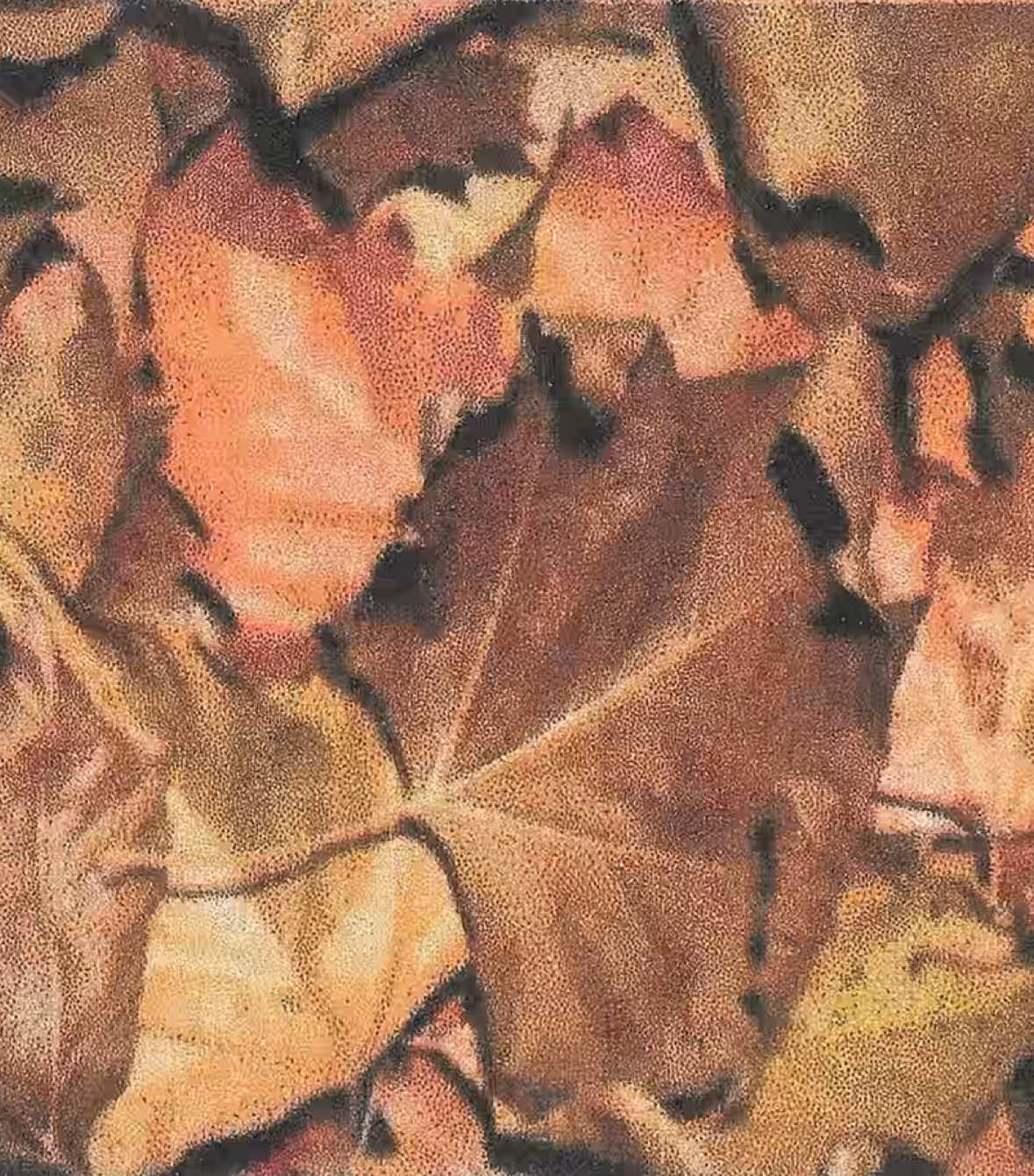 #paper #editing #mixedmedia #autumnleaves #fyp 