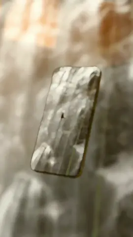 bulan november bawa bestinya,menguji adrenalin🔥#canyoneering @cute.paws @Crazytrip @Canyonering_reborn@Mnurmudin_ #fy 