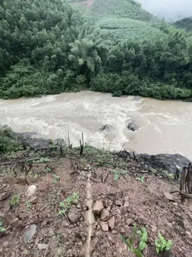 lũ lũ bão bão#xh xhuongtikotk🥰