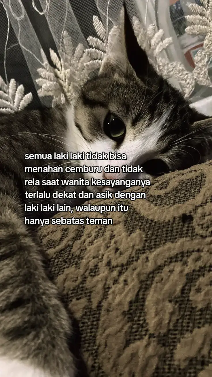 Assalamualaikum bundaaa 🥰 Jangan lupa tap ❤, save, dan share ke teman-teman yaa biar resepnya gak hilang 😘✨ --- 🛒 Bahan-bahan: 🐟 2 slice ikan fillet (kakap / dori / patin) 🍋 1 buah jeruk nipis 🧀 Keju parut secukupnya 🌿 1 sdt parsley 🍚 10 sdm tepung bumbu serbaguna 🌾 1 sdm tapioka 🥚 1 butir putih telur 🍞 Breadcrumbs secukupnya --- 👩‍🍳 Cara Membuat: 1. 🍋 Lumuri ikan dengan jeruk nipis, diamkan 15 menit lalu bilas bersih. 2. ✂️ Potong ikan memanjang ± 5 cm. 3. 🥣 Campur ikan dengan tepung bumbu, keju, parsley, tapioka & putih telur. Aduk rata. 4. 🧤 Ambil satu per satu potongan ikan, bentuk rapi lalu balur dengan breadcrumbs. 5. 🔥 Goreng sampai crispy & golden brown. --- ✨ Tips biar lebih enak: ❄️ Boleh simpan sebentar di kulkas sebelum digoreng biar coating lebih nempel. 🧀 Tambah keju quickmelt di tengah kalau mau rasa lebih cheesy. --- Siap disajikan dengan saus mayo / saus tomat 🍯🍅 Cemilan anak & keluarga favorit banget! 🥰👌 #fyp #kucing #reseptiktok #simple 