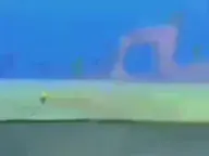 spread joy and love to everyone except maybe bad people #fyp #2018hype 