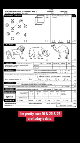A Tiger, an Elephant, a Giraffe