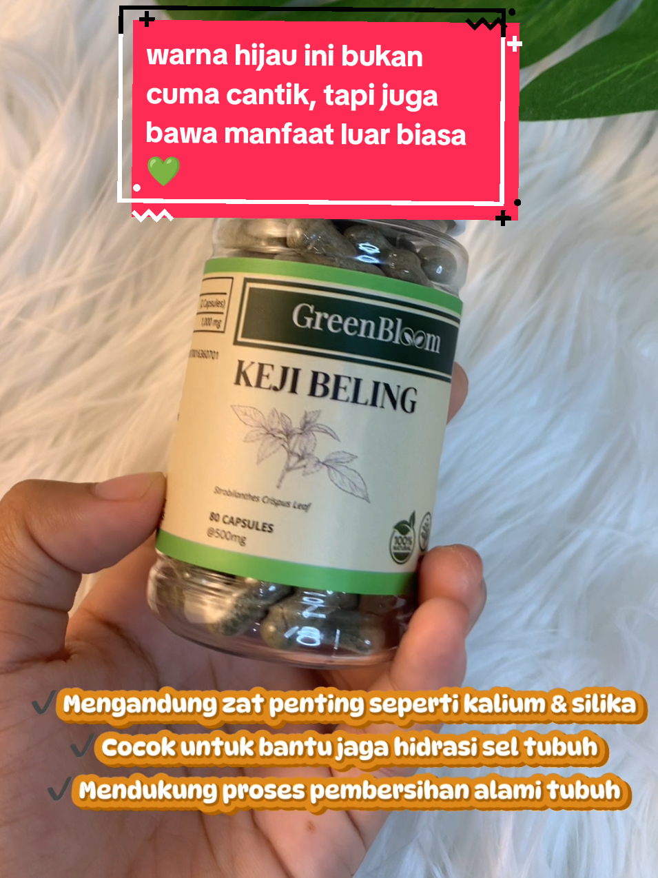 Cek keranjang kuning sekarang yuk🛒 Rutin konsumsi Keji Beling GreenBloom, bantu jaga fungsi ginjal & detoks racun dari dalam. #kejibeling #greenbloom #suplemenherbal #promogajian #halal 