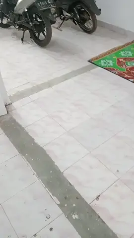 ripuh sayank sendal jepit kantong isi cau