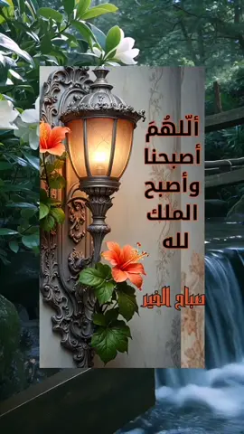 @زهرة النرجس🌸❤️ جعل الله صباحكم بكل خير وبركة وسعادة ❤️ #صباح_الخير #القران_الكريم #عبدالباسط_عبدالصمد #صدقة_جارية #اكسبلور 