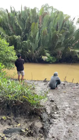 aku manceng#mancingasik #fishingstory #boncos_mania #fyp 