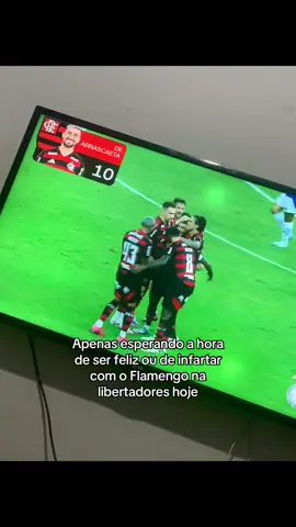 Pfvr Flamengo#fyp #vaiprofycaramba #flamengo #libertadores 